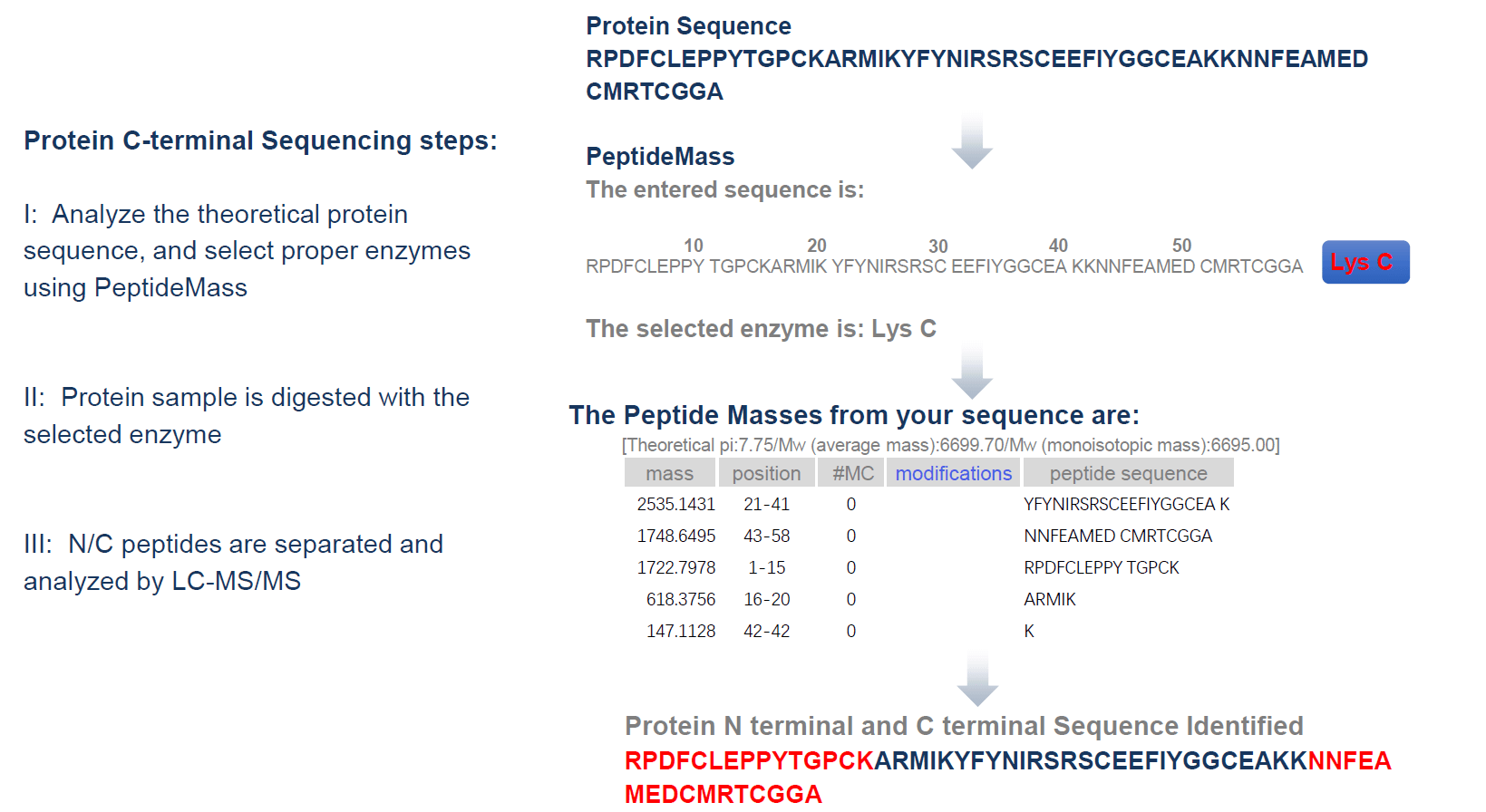 image-C-Sequencing-workflow3.png